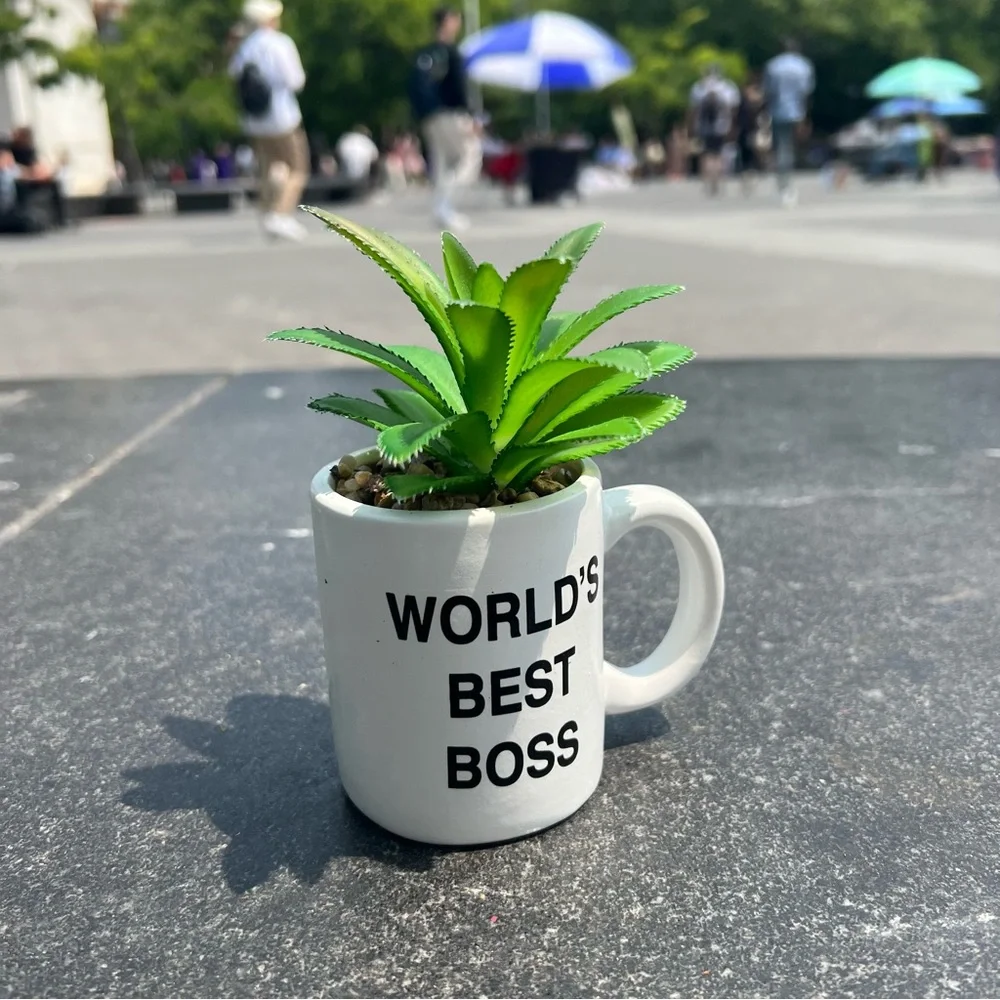 The Office Faux Plant Mug World’s Best Boss
